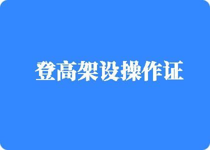 真人日碧网站登高架设操作证